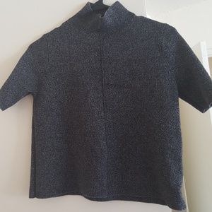 Zara mock neck knit
